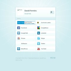 davidferreira - David Ferreira &ndash; Social Hub