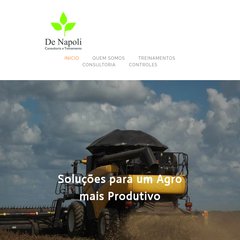 denapoli.com.br Empresa, Consultoria, Treinamentos