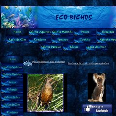 ecobichos 