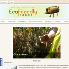 EcoFriendly Foods — Taste the Transformation