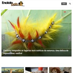  Peixes, Outros Animais, Guia da raça canina Cão da Serra ..., Guia da raça canina Bulldog francês