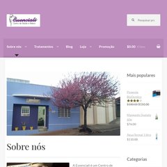  Poltronas Modernas, Comprar Sofás, Iluminação, Decoração de Casamento