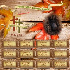 familyaffairstandards