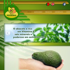 Frutas Mourinho - abacate - laranja - diospiro - silves - algrave