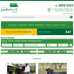  animais, not&iacute;cias, p&aacute;gina inicial, LOTE 12