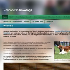 glenbrows puppies