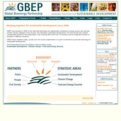 globalbioenergy.org Purpose and Functions, GBEP structure, Priority areas