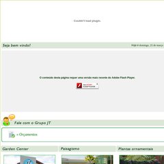  Acerte no cultivo das bromélias, Desenvolvimento iWM Exista na web!