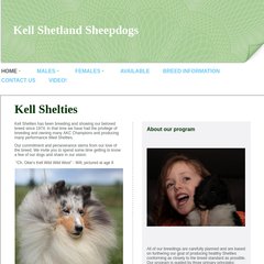 kell shelties