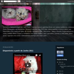 Gatil Komai Kats 11-89216361