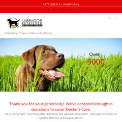 Labrador Retriever Rescue of Florida