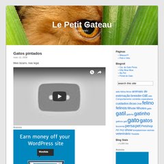  cats, felino, gata, gatos