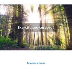 Letícia Ferreira da Mota