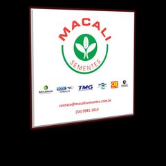 MACALI SEMENTES