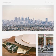 Marcus Troy | The Marcus Troy Experience