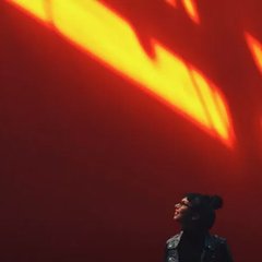 Mariana Ferrari | minhas idéias.