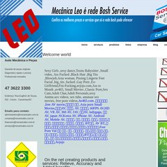 Auto Mecânica e Peças Léo