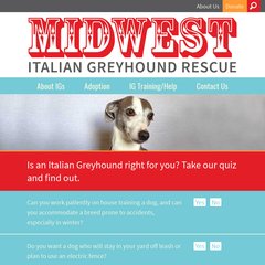 midwest italian greyhound rescue