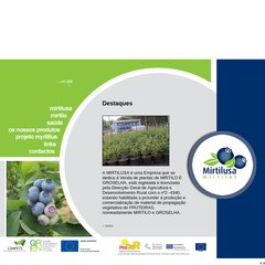  Saúde, Viveiros, Contactos