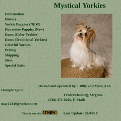 mystical yorkies