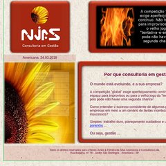 NJFS - Consultoria em Gestao