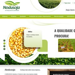  micronutrientes, inoculantes, feijão, aplicação de inoculante