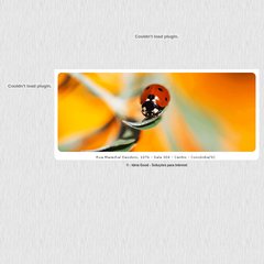 obiologo.com.br - obiologo