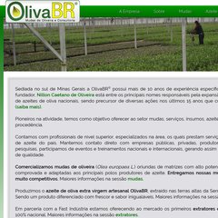 OlivaBR Mudas de Oliveira e Consultoria