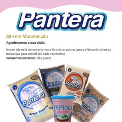 PANTERA nicial- I