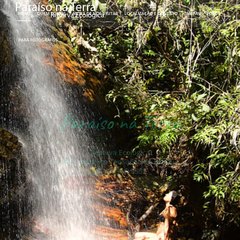 paraisonaterra.com.br WORKSHOP: Um Encontro com Jung, Jornada com Tara: Retiro Anual