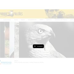 parquedosfalcoes.com.br parque, falc&otilde;es, aves