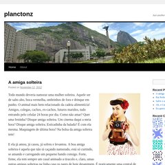 planctonz.wordpress.com planctonz, &larr; Older posts, Ah