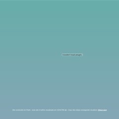 :: Juçara Ribeiro de Sá Cofiño - Português para estrangeiros ::