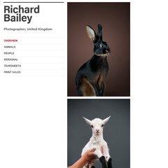  Animals, Commissions, Publishing, Awards