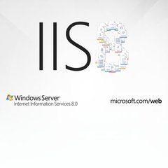 robertarollerrabbit.com.br