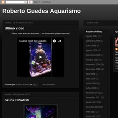  12:00, Black Rocks Iwagumi, 12:48, Início