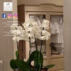 salamemingue.com.br bebê, nenê, enxoval