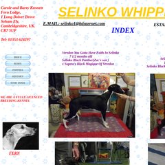 selinko whippets