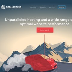 SEO Hosting – SEO Web Hosting - Multiple Class C IP Hosting