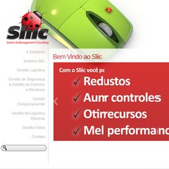 Sliic – System & Management Consulting |