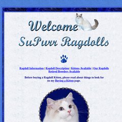 supurr ragdoll