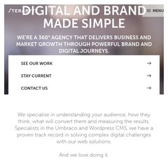 Web Design Auckland, NZ | Website Design & Development Agency | Terabyte NZ