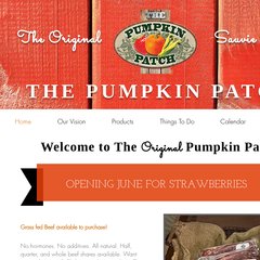 The Pumpkin Patch
