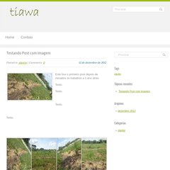 tiawa.com.br LinkedIn