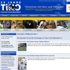 Www Tierheim Spreng De Tiere In Not Odenwald E V