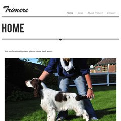 trimere english springer spaniels