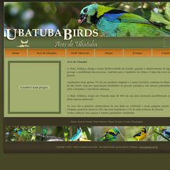 UBATUBA BIRDS - Observa&ccedil;&atilde;o de P&aacute;ssaros em Ubatuba | Birdwatching at Ubatuba